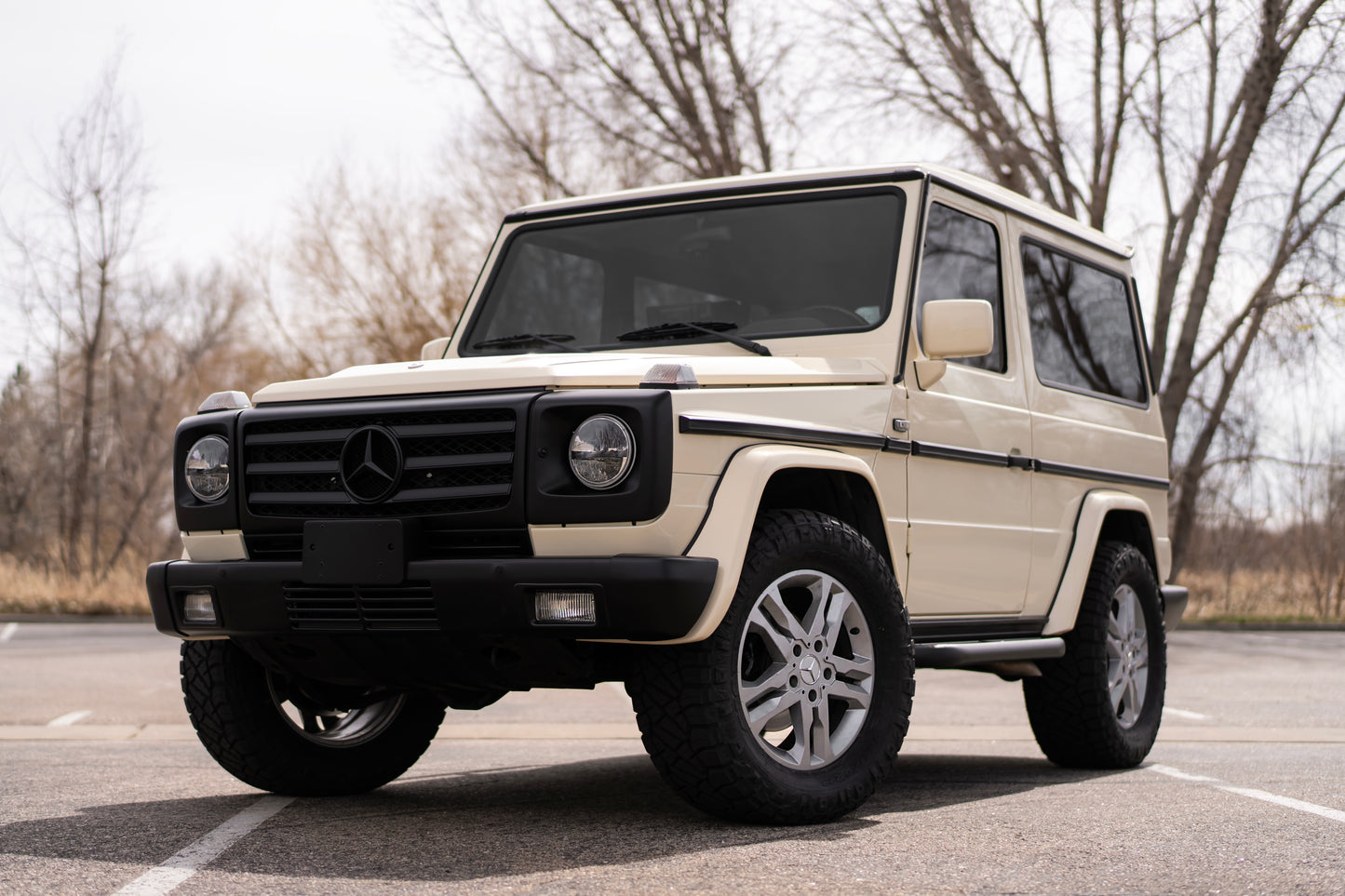 Long Wheel Base Rock Sliders (463A) 2019+