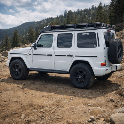 Long Wheel Base Rock Sliders (463A) 2019+